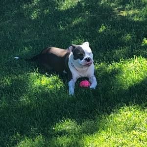 Meet your Posher, Tanya